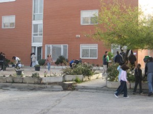 IMG_3313 Jornada verde 12/11/2009