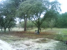 descanso entre las encinas